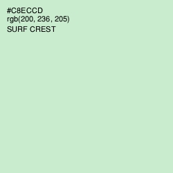 #C8ECCD - Surf Crest Color Image